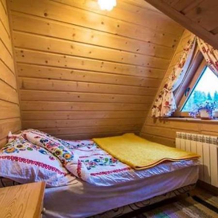 Domki Bacowka Pod Skocznia 扎科帕内 外观 照片