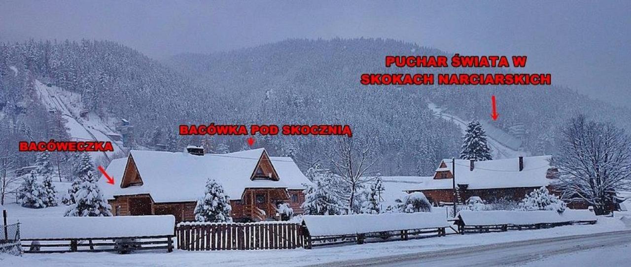 Domki Bacowka Pod Skocznia 扎科帕内 外观 照片